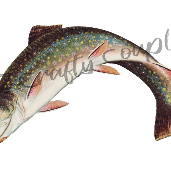 Brook Trout Leaping Waterslide Decal