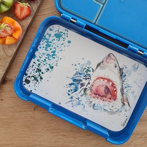 Snack box insert shark