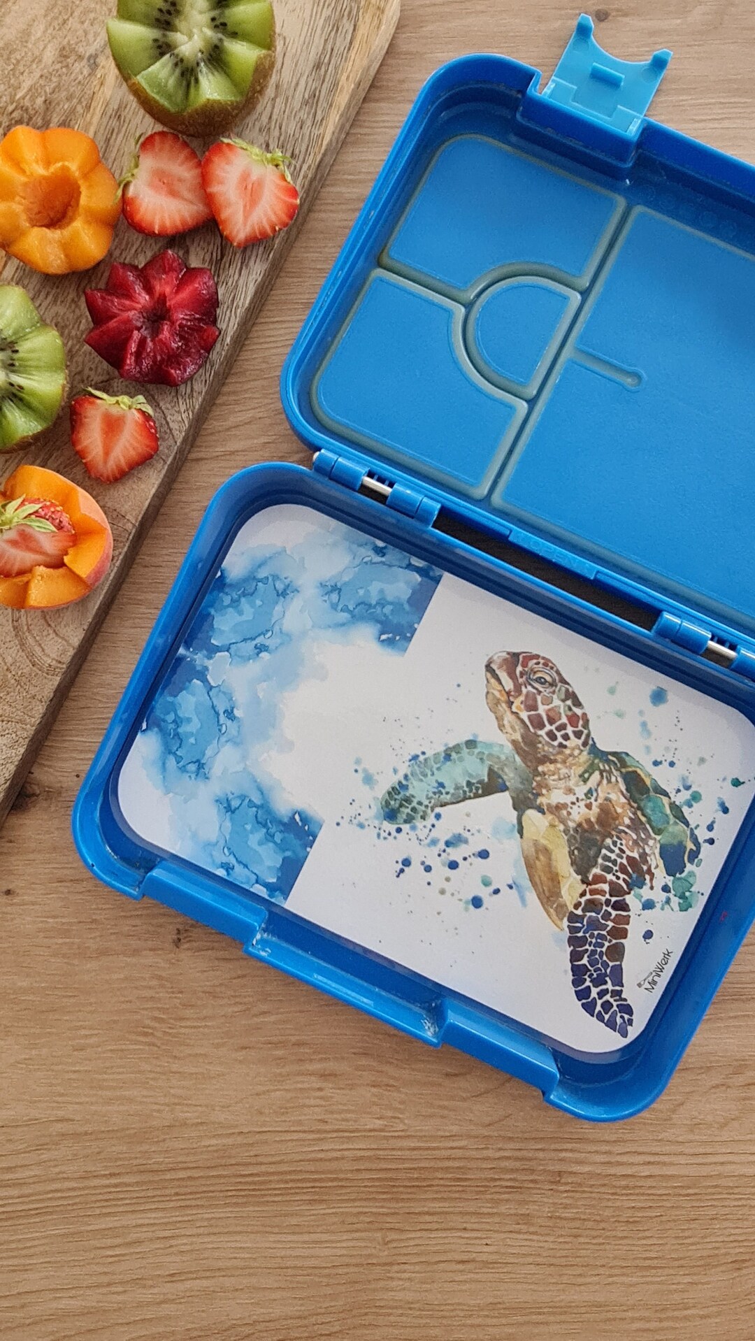 Lunch Box Insert Turtle - Etsy
