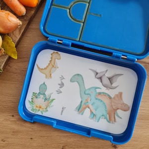 Boîte à lunch insert dinosaures