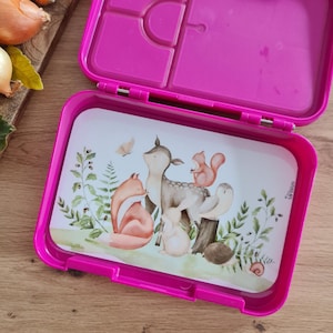 Insert boîte à lunch animaux de la forêt