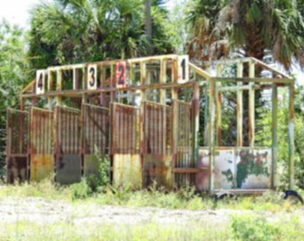 Horse Starting Gate Etsy