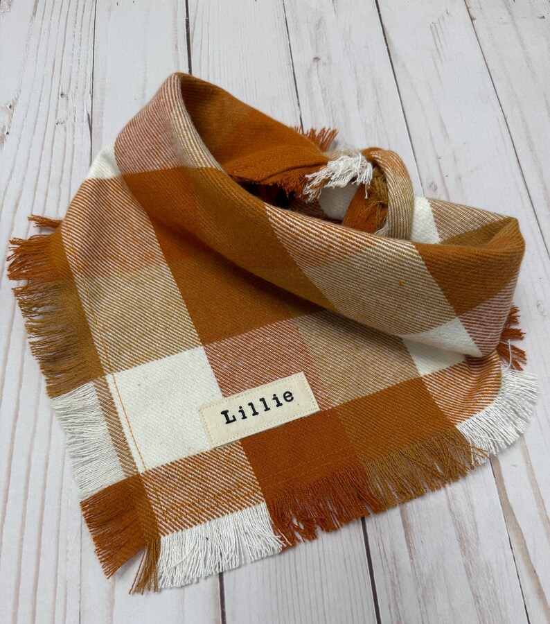 Op de afbeelding: Oranje en witte geruite hondenbandana met rafelige randen en een gepersonaliseerd naambordje met de tekst "Lillie".