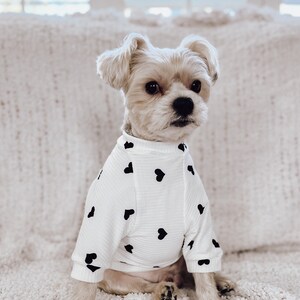 Fall dog shirts clearance