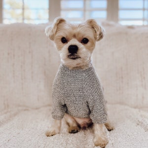 Teacup and Toy Pets Boutique Grooming, Clothes, Carriers, Collars