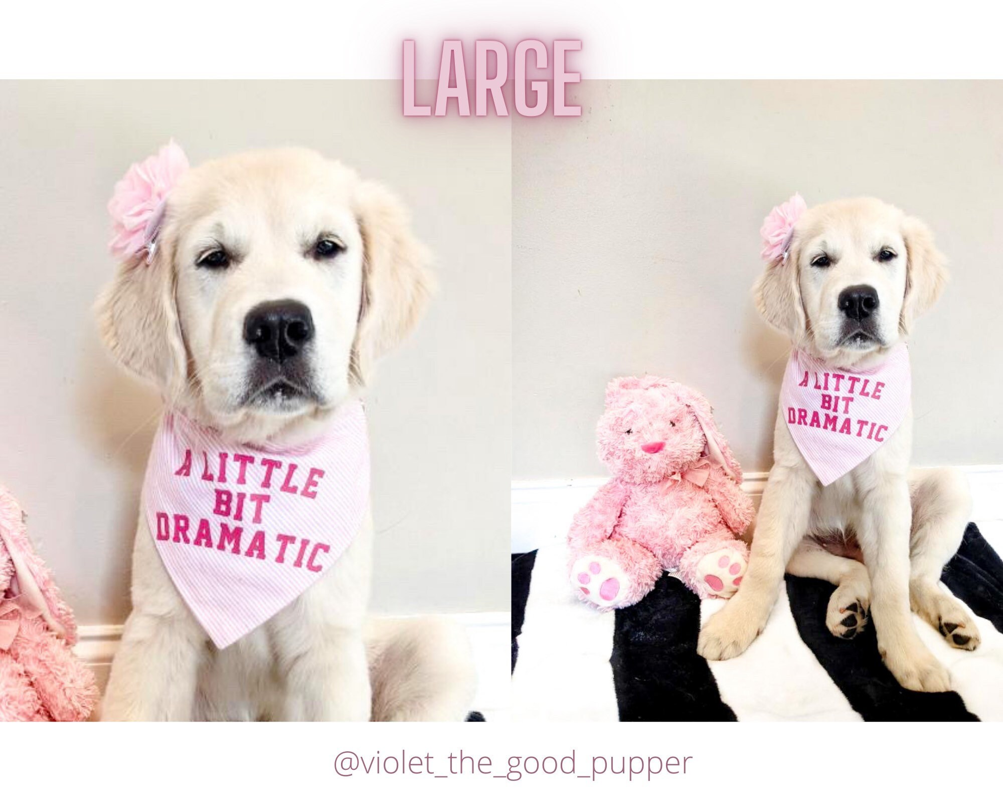 Burn Book Dog Bandana Mean Girls Dog Personalized Pet Etsy