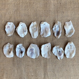 May include: Twelve white oyster shells with a hole drilled in the top. The shells are arranged in two rows of six, with the top row slightly offset from the bottom row. The shells are all different shapes and sizes, but they are all smooth and white.