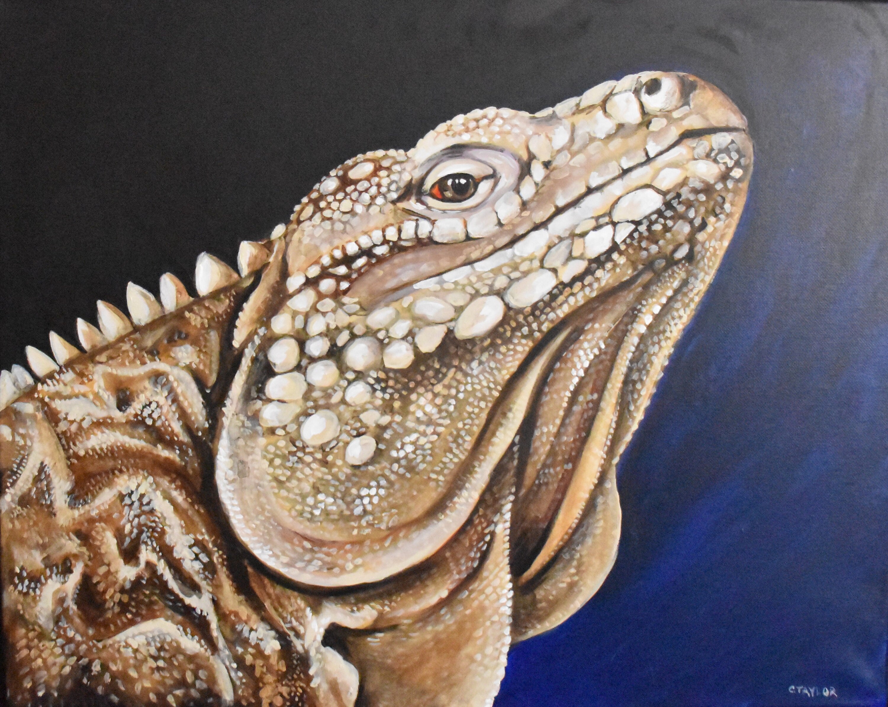 Reptile Acrylic painting on stretched cotton canvas Etsy