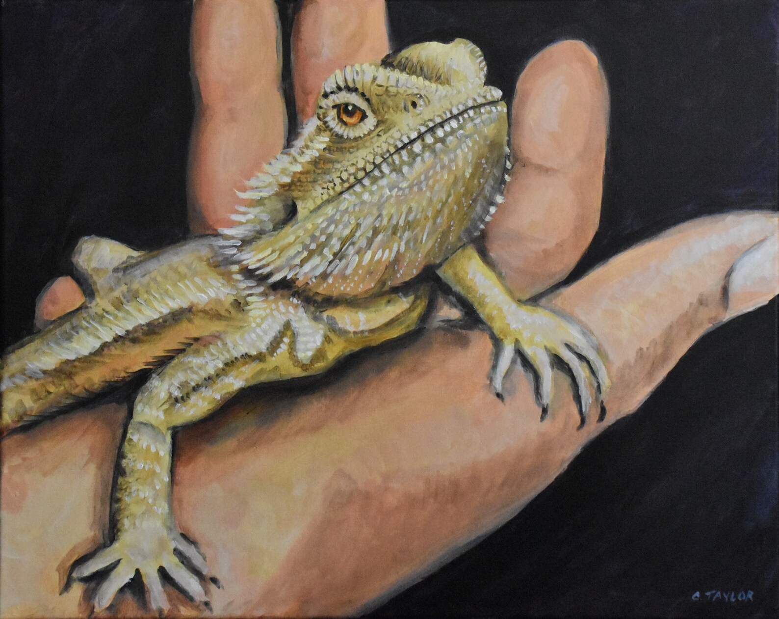 Acrylic Painting on Stretched Cotton Canvas Bearded Dragon Etsy