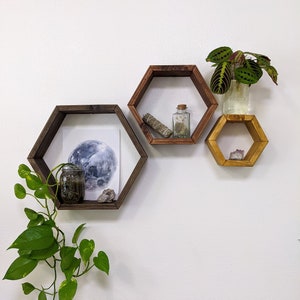 Set of 3 Hexagon Shelves / Floating Shelves / Trifecta / Plant Shelves / Honeycomb Shelves / Plant Decor