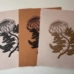 May include: Three rectangular sheets of textured paper with deckled edges, each featuring a black or dark brown ink block print of a protea flower. The prints are displayed on light pink, medium brown, and light pink paper backgrounds respectively.