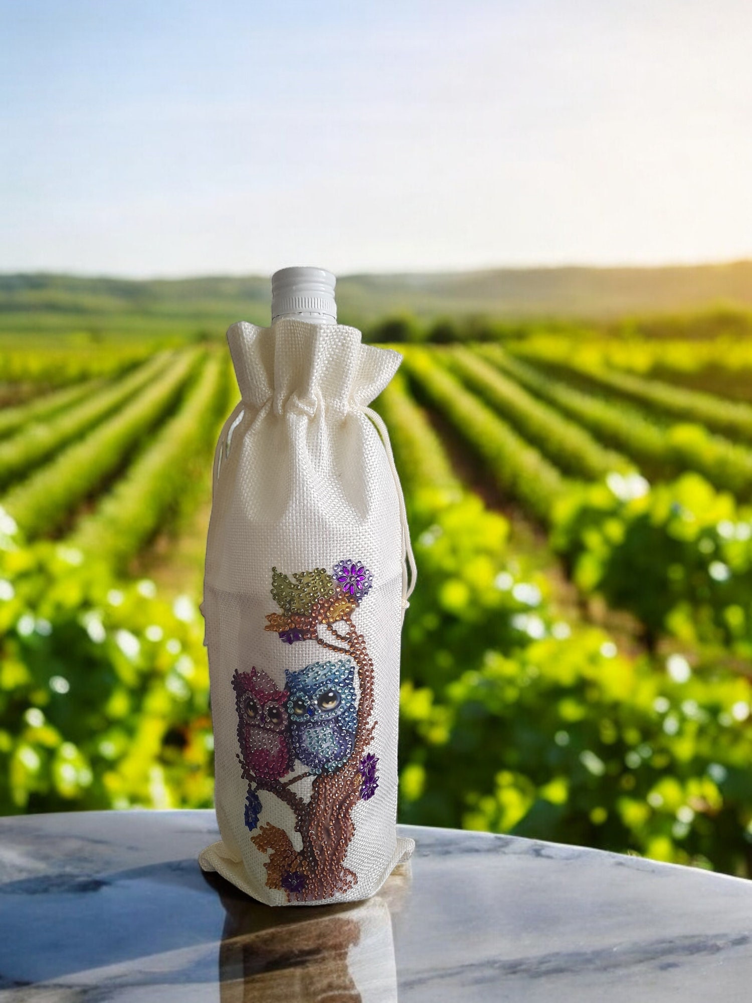 Owl bottle gift  bag diamond art Handmade Rustic Party Gift