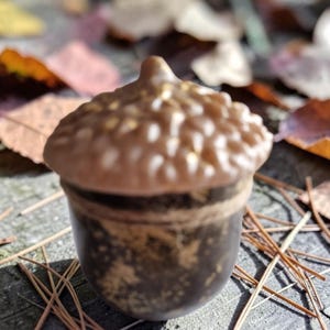 May include: A ceramic acorn figurine with a brown cap and a dark brown base. The cap has a textured surface with small gold accents. The acorn is set on a wooden surface with fallen leaves and pine needles.