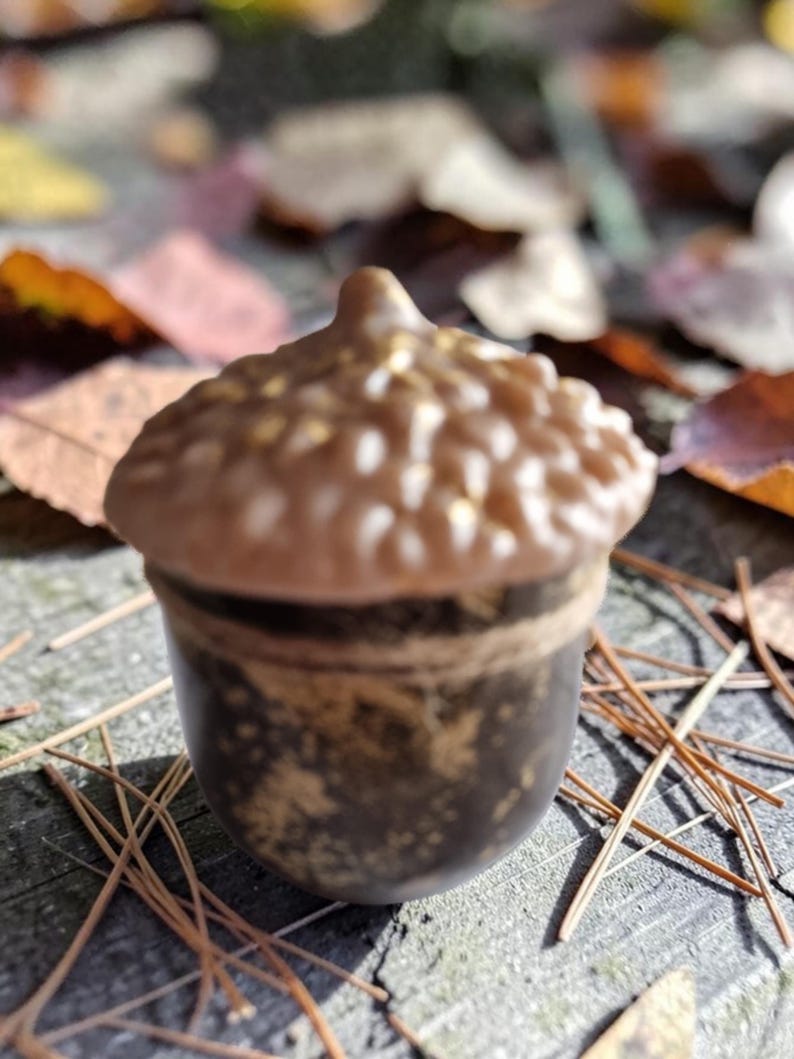 May include: A ceramic acorn figurine with a brown cap and a dark brown base. The cap has a textured surface with small gold accents. The acorn is set on a wooden surface with fallen leaves and pine needles.