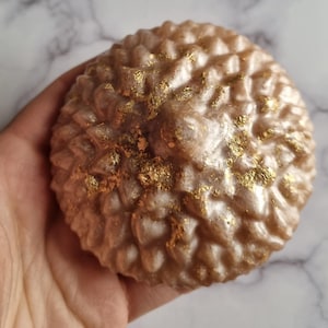 May include: A round, textured soap bar with a light brown color and gold flecks. The soap has a bumpy surface, resembling a pinecone. The soap is held in a hand.