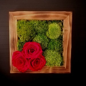 image avec des roses stabilisées colore cornice