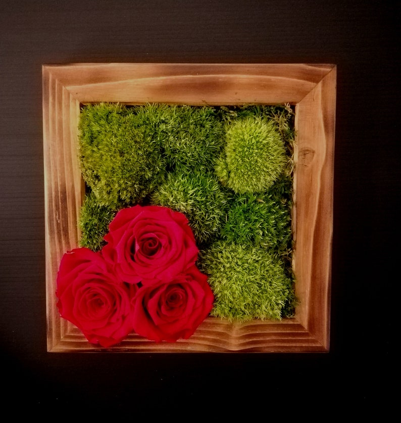 image avec des roses stabilisées colore cornice