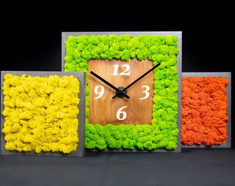 Tableau en vert stabilisé avec montre ensemble 3 pcs mesure max 30x30