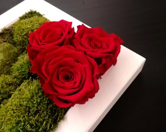 picture with stabilized roses