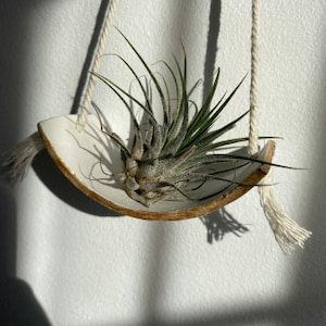 Clay Air Plant Hanger Succulent Holder Tillandsia Gift Pottery Personalized