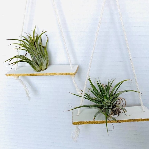 Windowsill Oasis: Minimalist Clay Hangers for Your Air Plants (Set of 2) Tillandsia