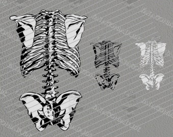 Ribcage SVG, Halloween Skeleton Rib cage PNG, Back View