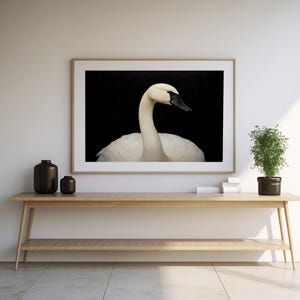 Swan Print Poster Wall Art Print Modern Decor Art Digital Download