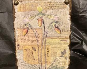 Bloque de arte botánico