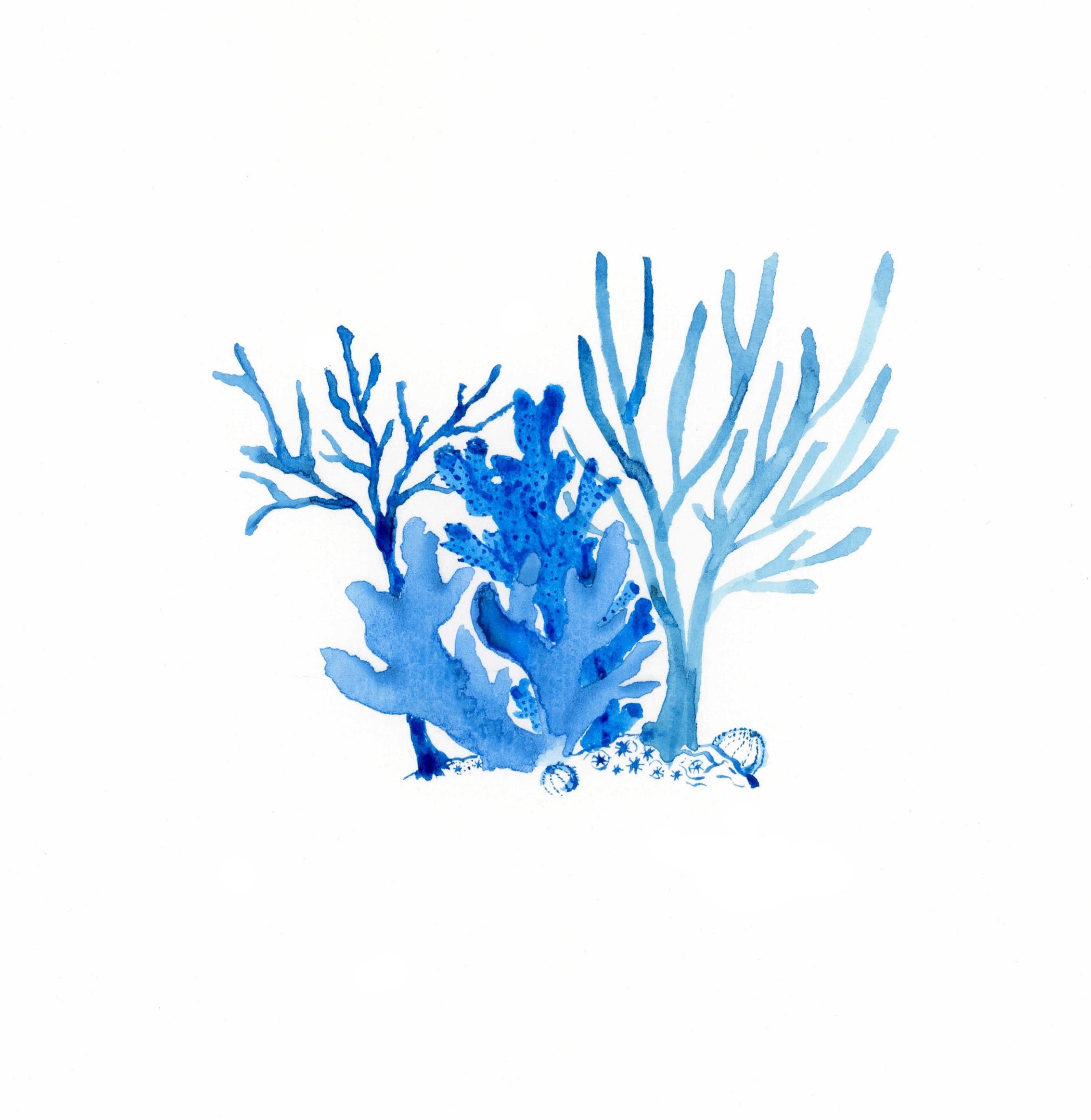 Blue Coral Watercolor Print Watercolor Art Corals Coral Etsy