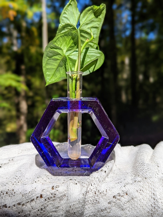 Purple Propagation & Flower Vase