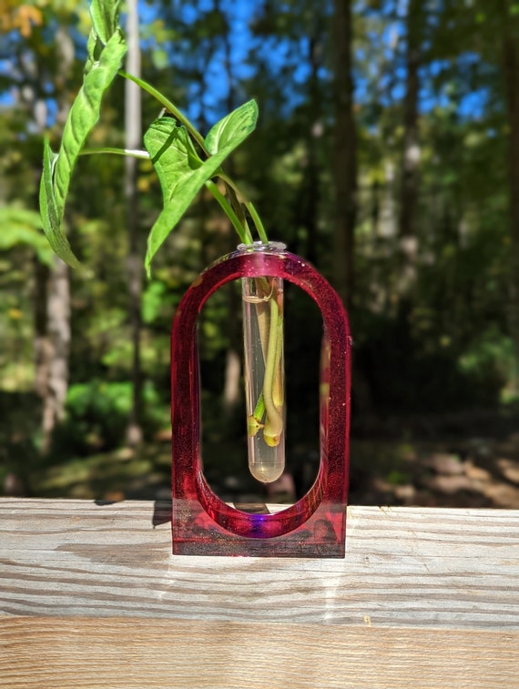 Pink Propagation & Flower Vase