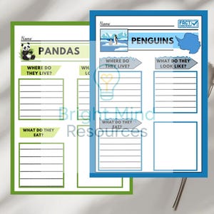 Bestandssjabloon pinguïn en panda - afdrukbaar werkblad dieronderzoek - rapportsjabloon kinderen - activiteit in de klas - direct downloaden