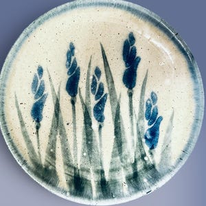 ✴︎ MONROE SALT WORKS ストロベリー柄 ポット ✴︎ Monroe Salt Works Pottery Maine - Etsy