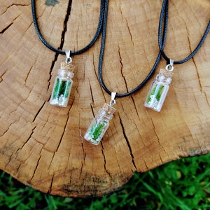 Mosterrarium ketting | Onderhoudsvrij mosterrarium | Botanische sieraden | 100% natuurlijk