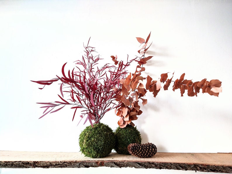 kokedama download free kokedama download free
