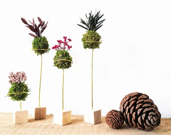 Mini kokedama letterbox gift with greeting card | No water or sunlight needed | Eco gift | Preserved plants and flowers | Birthday gift