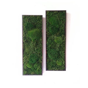 Vertical shaped moss wall art (large) | Maintenance free plant wall with preserved moss and ferns | Frame available in multiple colors