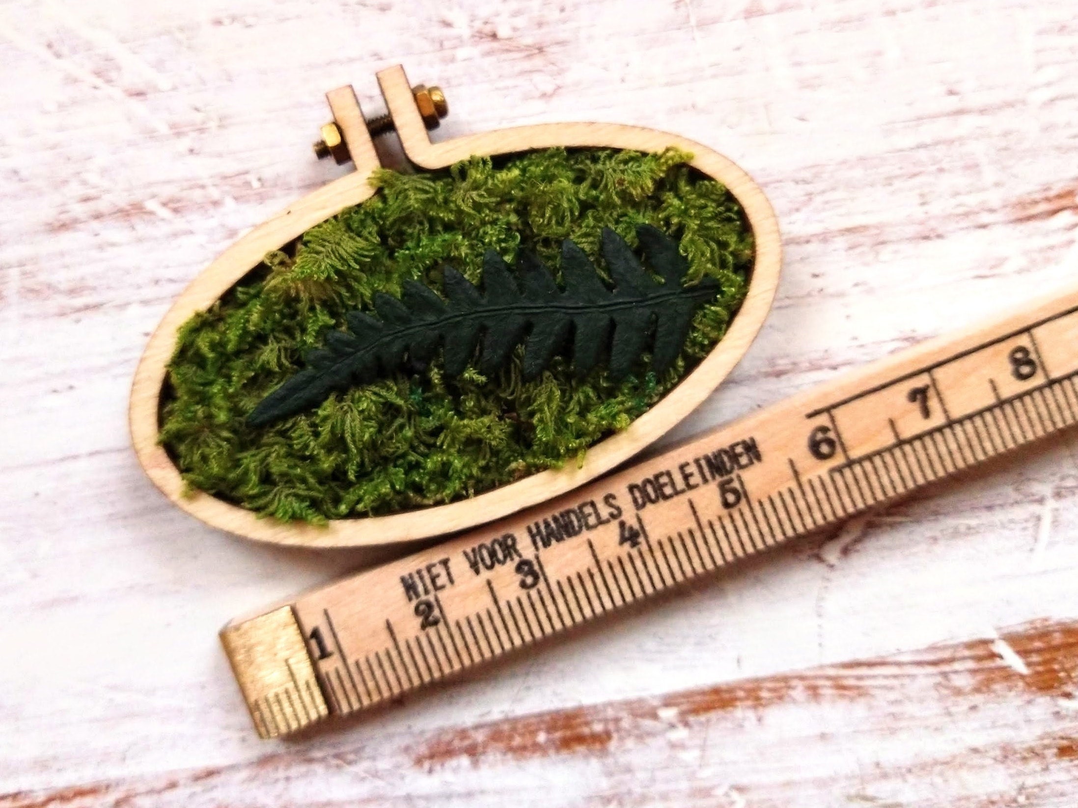 Mini Moss Wall Art in Miniature Embroidery Hoop Long Lasting Etsy
