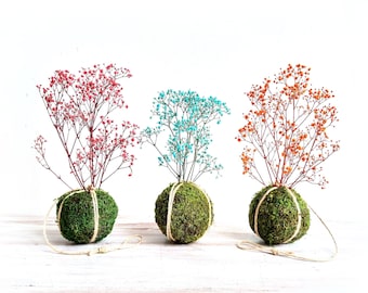 Kokedama met gepreserveerde bloemen en mos | Langdurig mooi zonder water of licht | Met gratis wenskaart | Duurzaam verjaardagscadeau