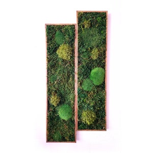 Vertical shaped moss wall art (large) | Maintenance free plant wall with preserved moss and ferns | Frame available in multiple colors
