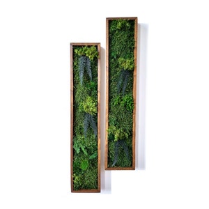 Vertical shaped moss wall art (large) | Maintenance free plant wall with preserved moss and ferns | Frame available in multiple colors