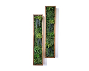 May include: Two rectangular wooden framed wall art pieces. Each frame is filled with green moss and various green plants, including ferns. The frames are a warm brown color, and the background is white.