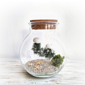 Jellyfish terrarium with LED light | The moss terrarium that never needs water or sunlight | Made with real plants | 100% natural