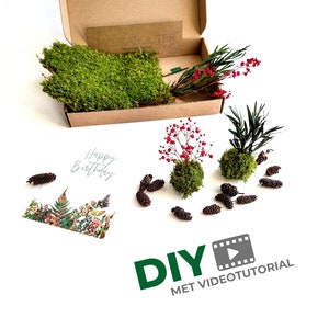 Mini kokedama craft kit | No water or sunlight needed | Includes online videotutorial in English | Creative DIY giftbox | DIY level: easy