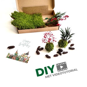 Könnte beinhalten: DIY-Set zum Erstellen eines Miniatur-Moosgartens mit einer Karte, auf der "Happy Birthday" steht. Das Set enthält Moos, kleine Kiefernäste, rote Beeren und Tannenzapfen.
