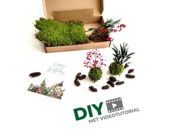 Mini kokedama craft kit | No water or sunlight needed | Includes online videotutorial in English | Creative DIY giftbox | DIY level: easy