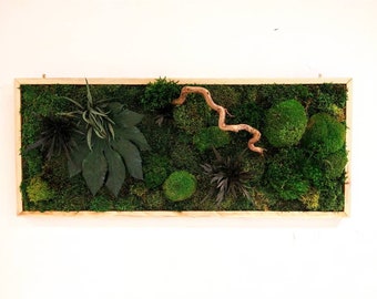 Moss wall art with leaves and branch | Vertical garden with preserved moss and ferns | Frame available in multiple colors