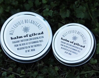 Balm of Gilead - Cottonwood infused oil - Poplar bud salve - All purpose - sore muscle rub - wildcrafted salve