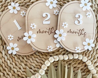 Daisy Acrylic Baby Milestone Discs: Photo Prop Set - Etsy