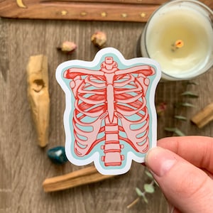 May include: A sticker of a pink ribcage on a light blue background. The sticker is in the shape of a ribcage and has a white outline.